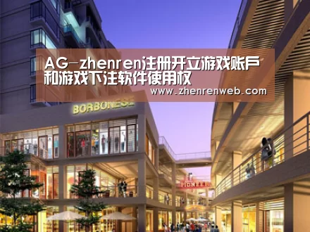 案例展示一(图1)