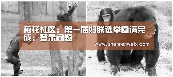 梅花社区:第一届妇联选举圆满完成:登录问题(图1) ag真人注册