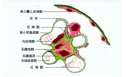 府东社区:开展端午节包粽子、送粽子活动:登录问题(图1) 登录问题